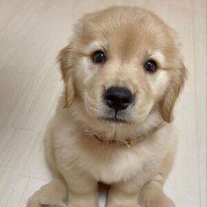 Layla's Lovely Finds: Cute Essentials from Toronto with Love!